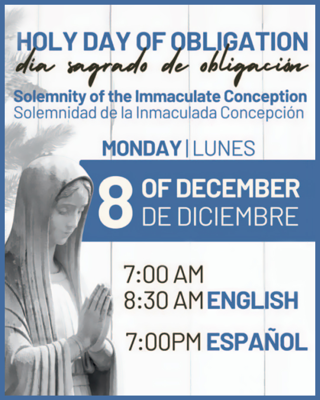 Holy Day of  Obligation                                                                                                                                                                                                                                                                                     